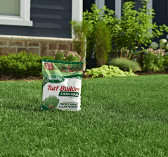 scotts fertilizer | Plantgardener